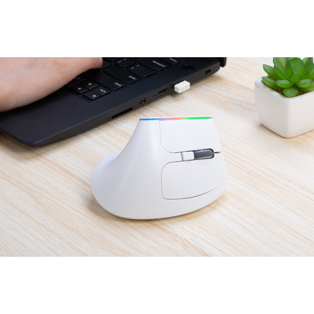 Delux M618C Ασύρματο Vertical Ποντίκι Λευκό